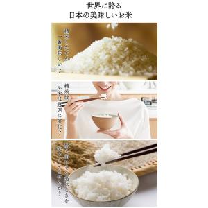 正規販売店/メーカー直送 ライスフリッジ クラ...の詳細画像5