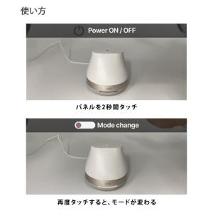 Znie Lite (送料無料) ジーニーライ...の詳細画像3