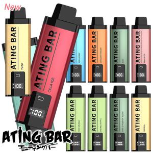 ATINGBAR エイティングバー スマートシー...の商品画像