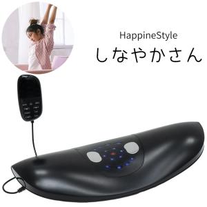 アムウェイ メディカラダ ウォーク NTMK30 脚用運動機器 amway EMS