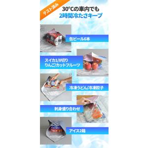 ORIBA オリバ 保冷ふろしき (メール便送...の詳細画像3