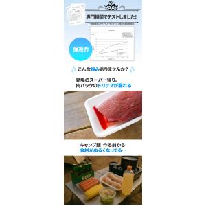 ORIBA オリバ 保冷ふろしき (メール便送...の詳細画像4