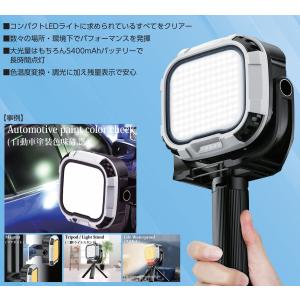 トゥルーライト (PT-L001) 本体 / 充電式調色用ライト オート