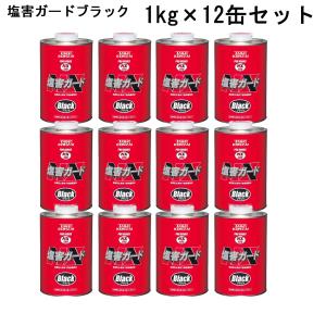 ハイパワーガード セーフティS ブラック 16kg （艶消しブラック