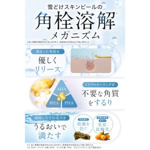 北海道雪どけスキンピール クレンジング 角栓 ...の詳細画像3