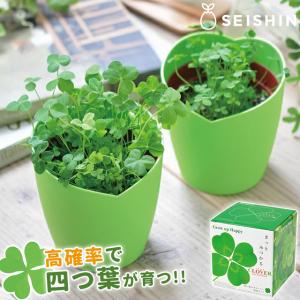 種 野菜たね 菜類 丸ザーサイ（玉たかな） 1袋（コート種子200粒