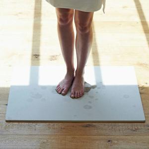 SOIL（ソイル） 珪藻土バスマット ラージ BATH MAT large 父の日