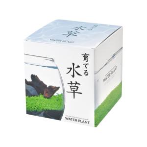聖新陶芸 育てる水草 L GD-813の詳細画像2