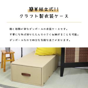 東洋ケース 押入れ衣装ケース K-43-Nの詳細画像2