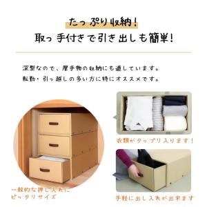 東洋ケース 押入れ衣装ケース K-43-Nの詳細画像3
