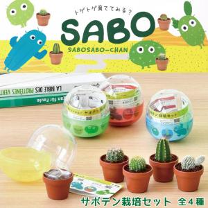 聖新陶芸 育てるカプセル サボテン GREEN...の詳細画像1
