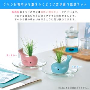 聖新陶芸 ハッピーホエール ブルー GD897-01の詳細画像1
