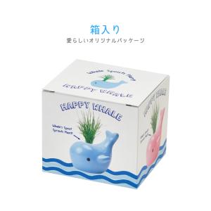 聖新陶芸 ハッピーホエール ブルー GD897-01の詳細画像5