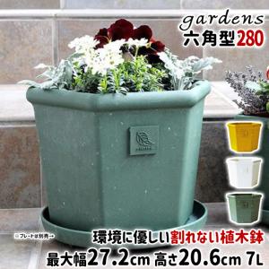 グロワーズ ツールズ ウォータリングカン 500ml(植物 水やり 水差し