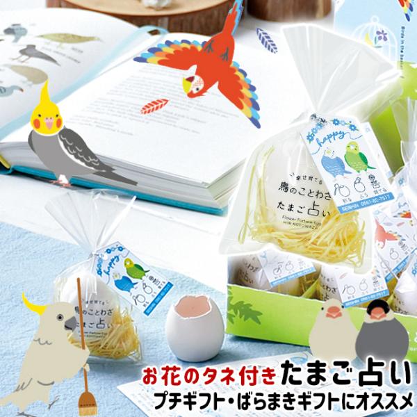 おみくじ 栽培 聖新陶芸 鳥のことわざたまご占い EG-59