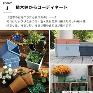 受け皿 受皿 エコプレート 丸型 4号 直径1...の詳細画像2