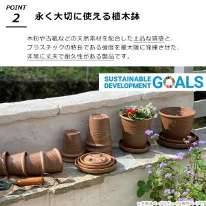 受け皿 受皿 エコプレート 丸型 4号 直径1...の詳細画像3
