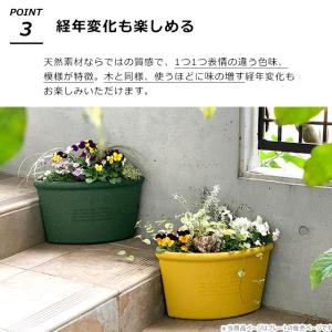 受け皿 受皿 エコプレート 丸型 4号 直径1...の詳細画像4