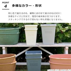 受け皿 受皿 エコプレート 丸型 4号 直径1...の詳細画像5