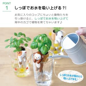 栽培セット 栽培キット しっぽん GD-660...の詳細画像2