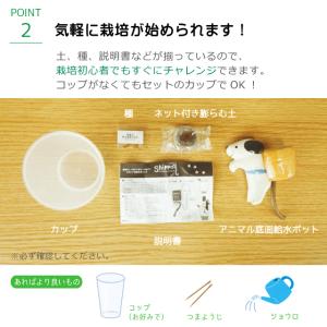 栽培セット 栽培キット しっぽん GD-660...の詳細画像3