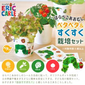 栽培セット 栽培キット 聖新陶芸 はらぺこあお...の詳細画像1