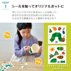 栽培セット 栽培キット 聖新陶芸 はらぺこあお...の詳細画像2