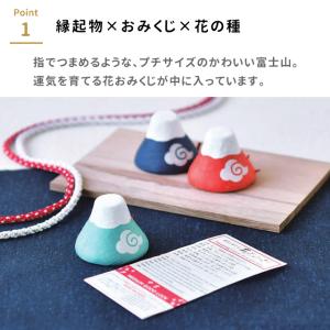 栽培セット 栽培キット 聖新陶芸 おめでたおみ...の詳細画像2