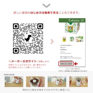 栽培キット 栽培セット 聖新陶芸 グリーンペッ...の詳細画像5