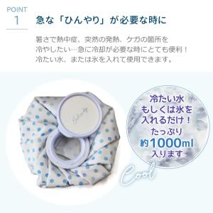ほんやら堂 氷のう 氷嚢 クールダウン アイス...の詳細画像2