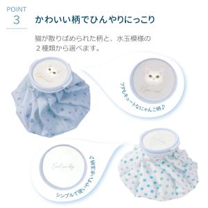 ほんやら堂 氷のう 氷嚢 クールダウン アイス...の詳細画像4
