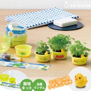 栽培キット 栽培セット 聖新陶芸 育てるカプセル ゆ桶でハーブ栽培 GD-1035 ランダム ガチャ アップルミント ペパーミント レモンバーム カモミール