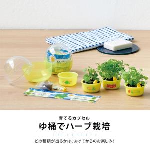 栽培キット 栽培セット 聖新陶芸 育てるカプセ...の詳細画像1