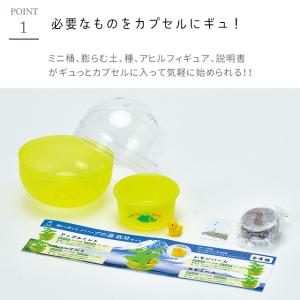 栽培キット 栽培セット 聖新陶芸 育てるカプセ...の詳細画像2