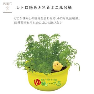 栽培キット 栽培セット 聖新陶芸 育てるカプセ...の詳細画像3