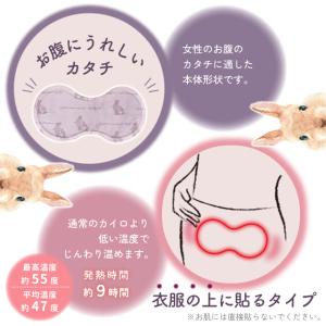 ほんやら堂 お腹に貼るカイロ じんわり温かい ...の詳細画像2
