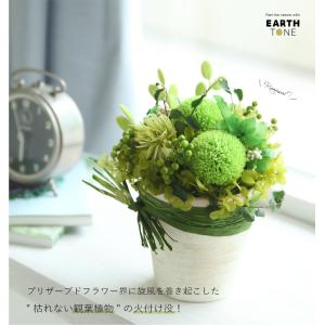 プリザーブドフラワー プレゼント ギフト 観葉...の詳細画像1