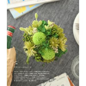 プリザーブドフラワー プレゼント ギフト 観葉...の詳細画像3