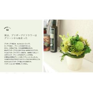 プリザーブドフラワー プレゼント ギフト 観葉...の詳細画像4