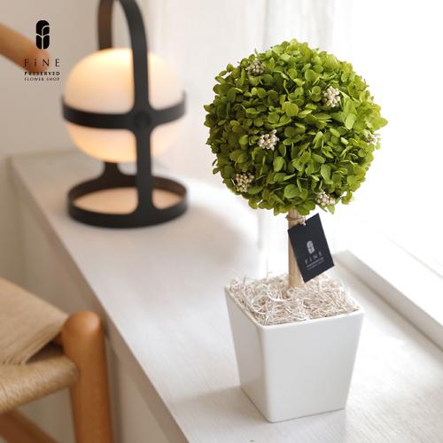 プリザーブドフラワー プレゼント ギフト 観葉植物 アナベルトピアリー 誕生日 新築祝い  開店祝い...