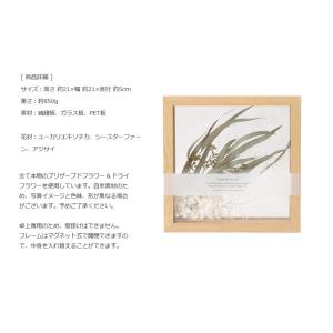 ドライフラワー BC030フローティングフレー...の詳細画像2