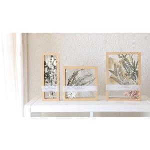 ドライフラワー BC030フローティングフレー...の詳細画像5