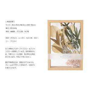 ドライフラワー BC031フローティングフレー...の詳細画像2