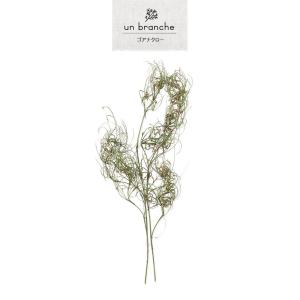 ゴアナクロー ドライフラワー 花材 販売 小分...の詳細画像1