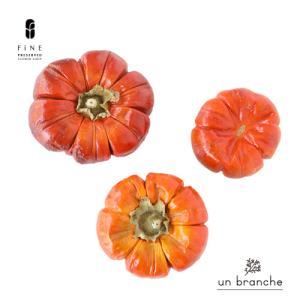 ソラナム 大小アソート 3個入り ドライフラワー 花材 販売 小分け 手作り ハンドメイド 飾り インテリア リース 材料 【アンブランシュ】