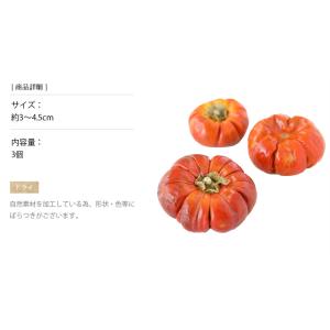 ソラナム 大小アソート 3個入り ドライフラワ...の詳細画像2
