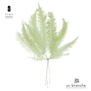 クリスマス リース サンキライリース ギフト プレゼント 誕生日 迎春