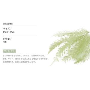 山シダ スプリンググリーン プリザーブドフラワ...の詳細画像2