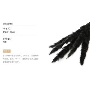 テールリード ブラック ドライフラワー 花材 ...の詳細画像2