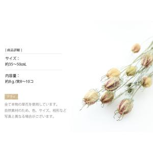 フーセンポピー ドライフラワー 花材 販売 小...の詳細画像2